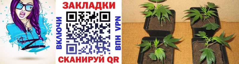 Наркошоп Чегем Cocaine  KRAKEN ссылки  Гашиш  Канабис  Мефедрон 