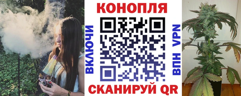 Конопля SATIVA & INDICA Чегем